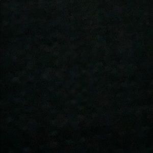 Meet your Posher, Dylan